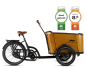 Preview: Extrem kräftiges Elektro-Transportfahrrad C1- Enviolo mit 120 NM